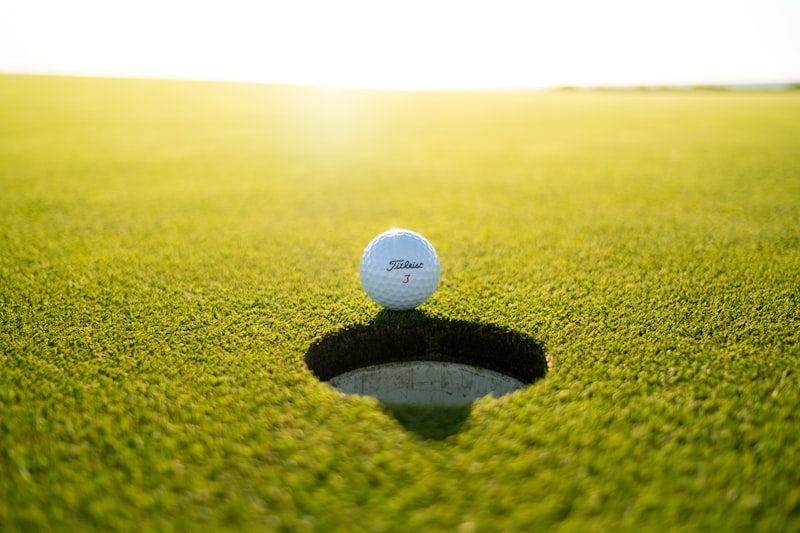 Hierba y hierros de golf